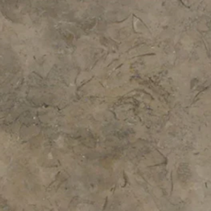 Sicilia Brown