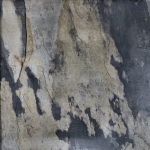 Autumn 16X16 Slate Tile
