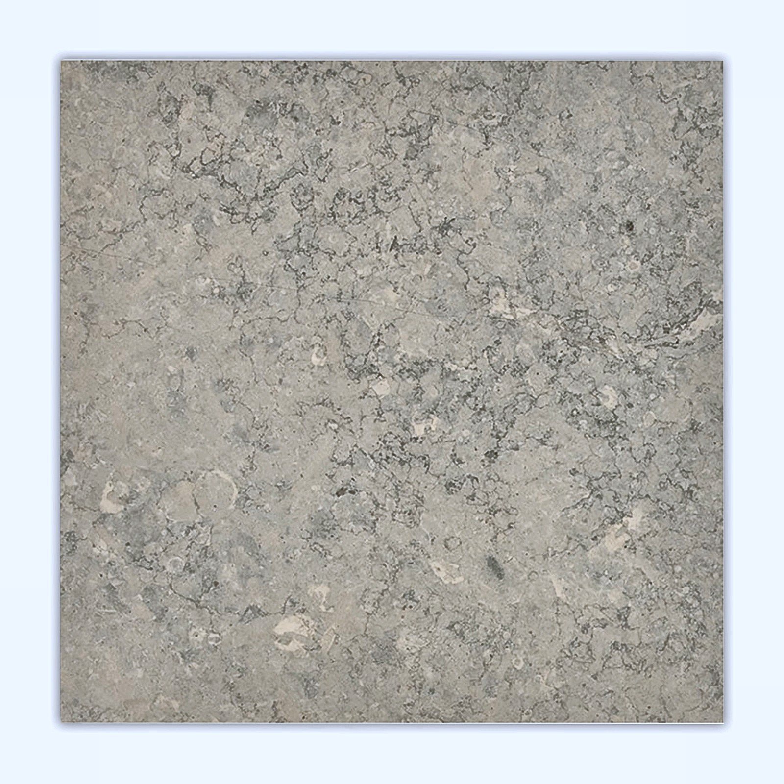 Lagos Blue 18X18 Honed Limestone Tile - Limestone | Intrepid Marble & Granite