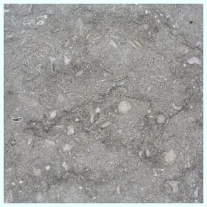 Seagrass 18X18 Honed Limestone Tile