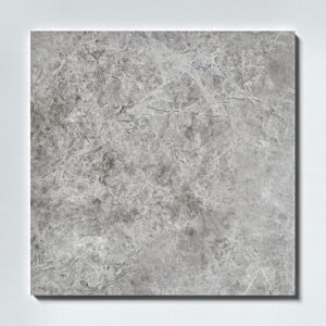 Silver Shadow 18X18 Polished  Marble Tile
